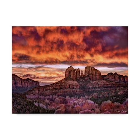 David Drost 'Pink Morning Glory Iv' Canvas Art,18x24